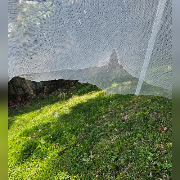 White Bridal Formal Gown - Picture 5 of 14